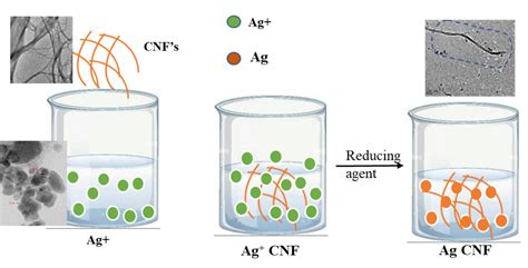 Nano-Cellulose: A Bio-Based Miracle Material for Enhanced Strength and Sustainability in Packaging Applications!