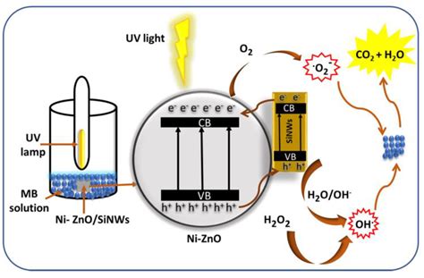  Xenon-Doped Zinc Oxide – Unleashing the Power of Next-Generation Transparent Electronics?